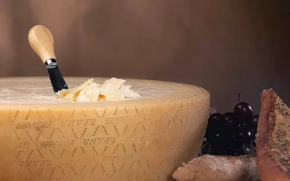 Grana Padano